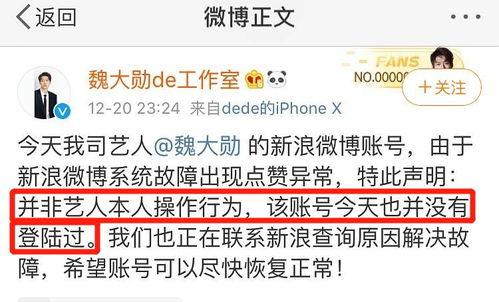 微信公众号娱乐明星吃瓜,明星们的“吃瓜”日常